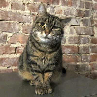 Mabel says THANK YOU! Mabel says THANK YOU!