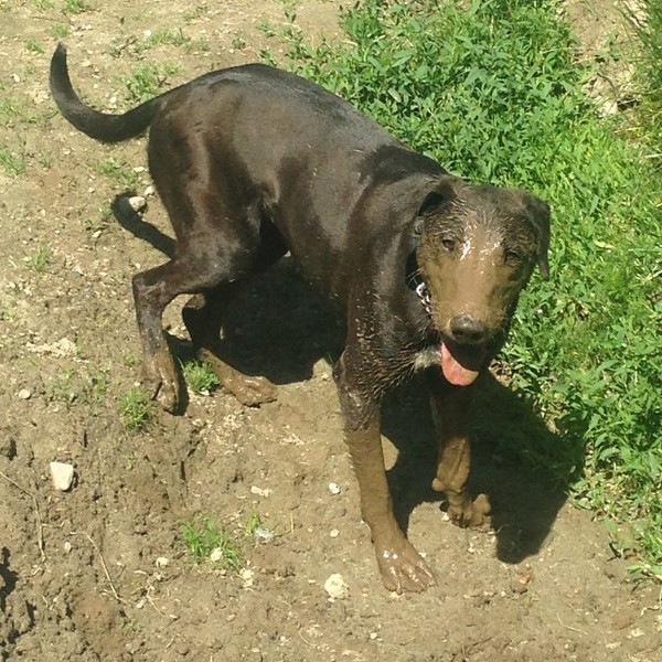 Mud bath Mud bath