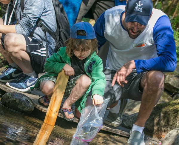 Salmon Fry Release on Eagle Creek