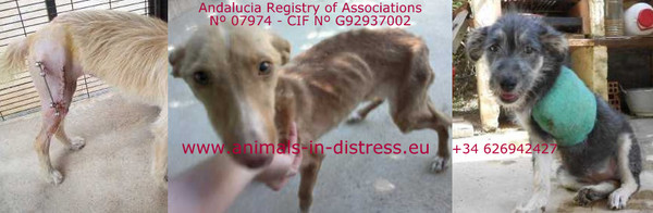 Help us to help them Help us to help them