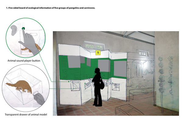 Multiside board to introduce the ecological value of pangolins and small carnivores.