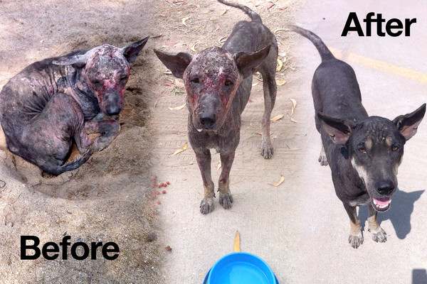Tom before & after Tom before & after