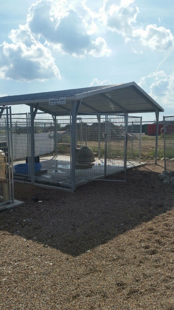 This is one of the outdoor pens. This is one of the outdoor pens.