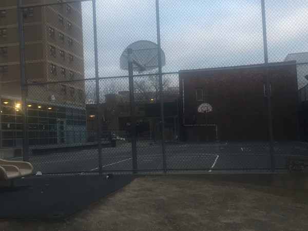 Court Court
